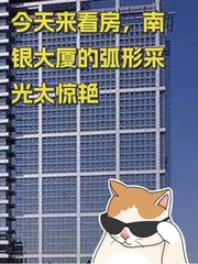 今天来看房，南银大厦的弧形采光太惊艳 - 缩略图 1