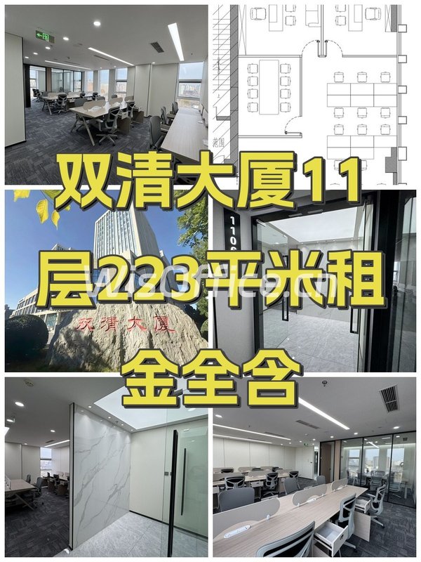 双清大厦11层223平米租金全含 - 首图