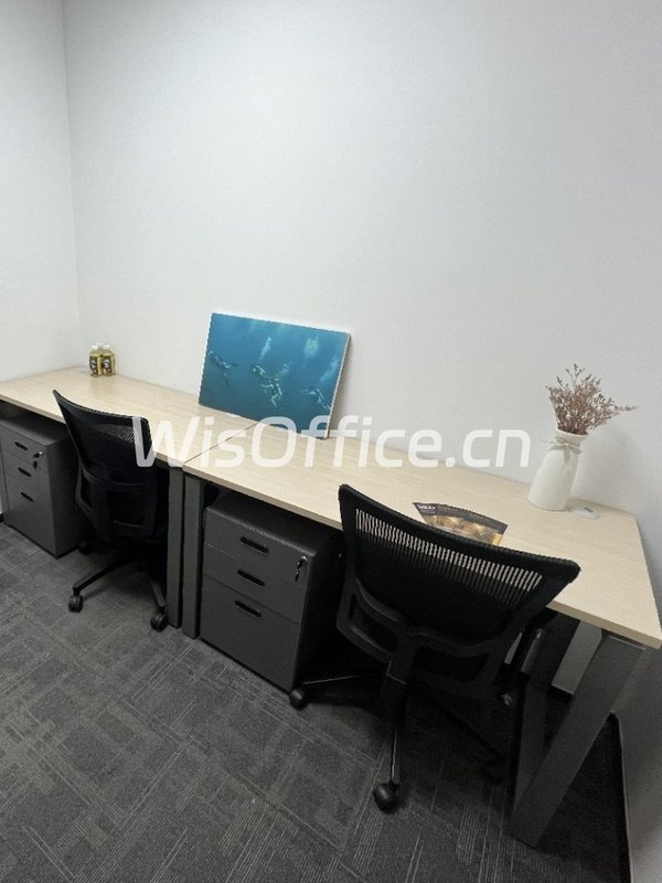 推荐嘉盛中心双地铁新装修落地窗带前后院 - 首图