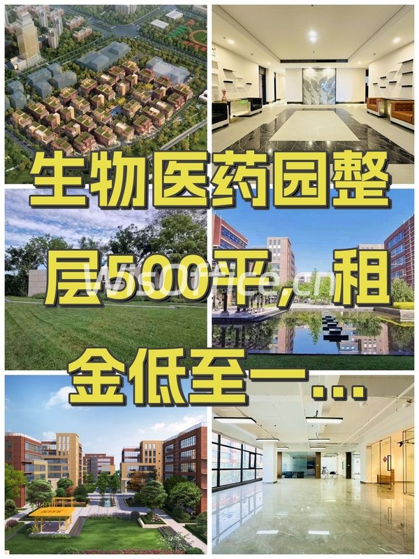 生物医药园整层500平，租金低至一杯咖啡价 - 首图