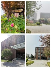 北向研发办公，租金低至一杯咖啡价 - 缩略图 1