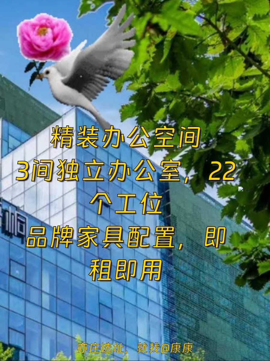 拎包入驻！枢密院梧桐高效办公新选择