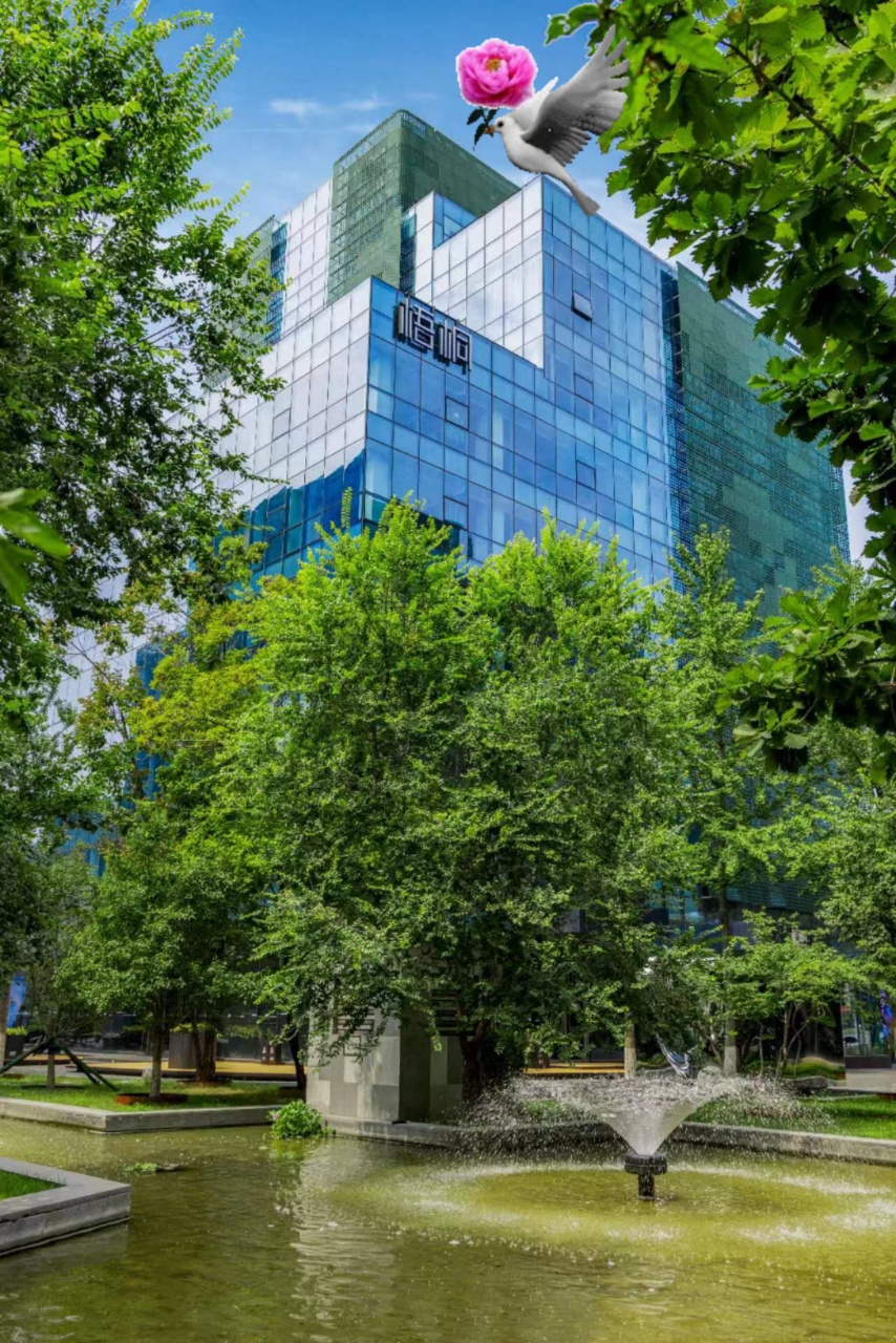 枢密院梧桐 | 260平 | 拎包入驻的办公天堂