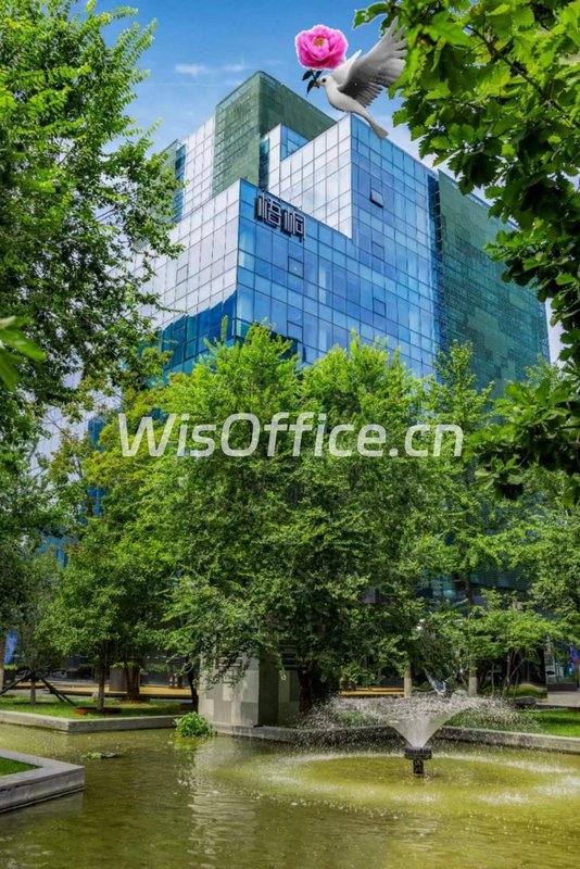 枢密院梧桐 | 260平 | 拎包入驻的办公天堂 - 首图
