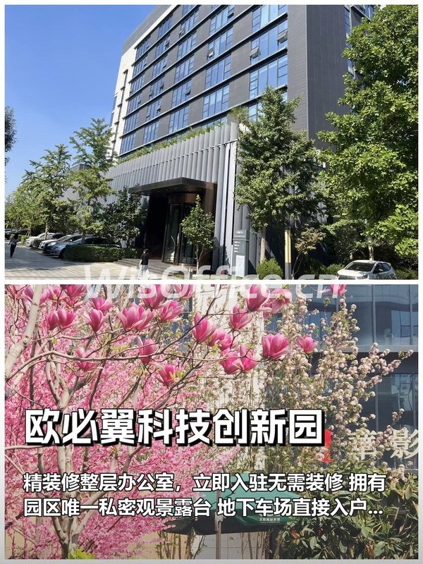 整层精装办公，为何成为企业首选？ - 首图