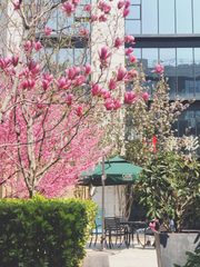 亦庄科技园｜1191㎡整层办公｜独家露台 - 缩略图 3