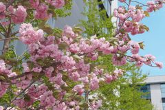 亦庄科技园｜1191㎡整层办公｜独家露台 - 缩略图 4