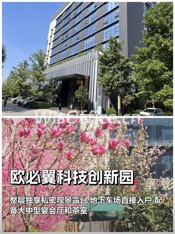 1191㎡整层能晒露台？欧必翼园啥体验 - 首图