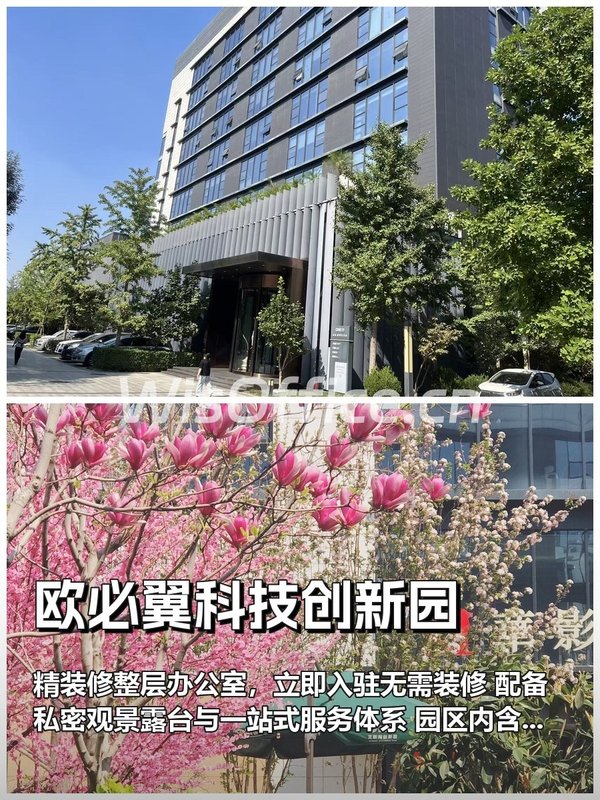 三年内如何平衡装修成本与快速启动业务？ - 首图