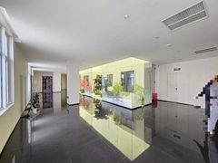 东四环主路独门独院 办公新选择 - 缩略图 9