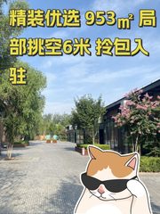 精装优选 953㎡ 局部挑空6米 拎包入驻 - 缩略图 1