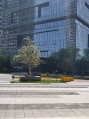 真房｜鸿坤云时代 |640平｜整栋独享 - 缩略图 1