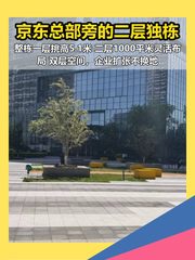 老板看完方案，当场拍板 - 缩略图 1