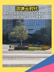 亦庄鸿坤云时代 640平整栋一层挑高5.1米 - 缩略图 1