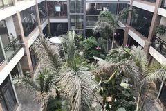 通州文创园747平大开间 层高3.7米 - 缩略图 2