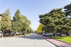 双桥独栋550平 带院子坐北朝南 - 缩略图 17