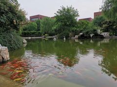 亦庄独栋办公，层高4.5米 - 缩略图 24