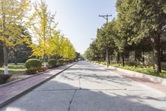 双桥独栋550平 带院子坐北朝南 - 缩略图 18