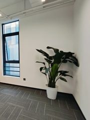 办公｜627平精装现房｜3.6米层高｜德必WE - 缩略图 19