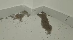 高温天气下，企业选址需考虑气候适应性 - 缩略图 4