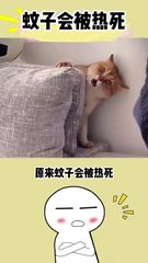 高温天气下，企业选址需考虑气候适应性 - 缩略图 3