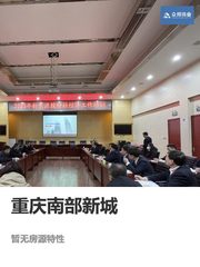 重庆南部新城19亿公司债受理 - 缩略图 1